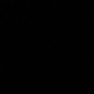 Meet your Posher, Ruth